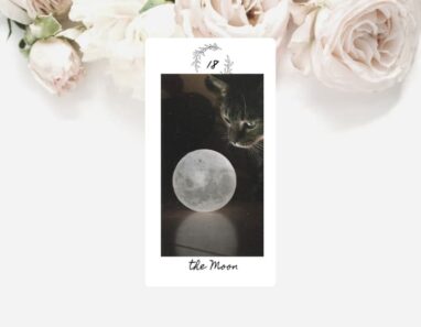 No.18 月