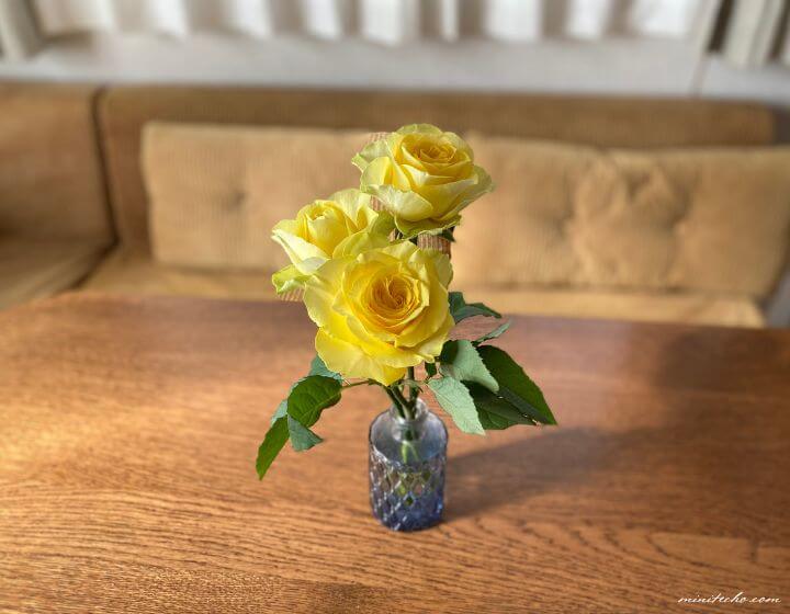 黄色い薔薇