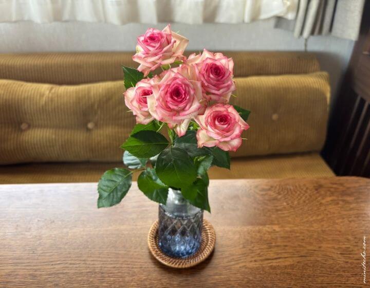 ピンクのミニ薔薇