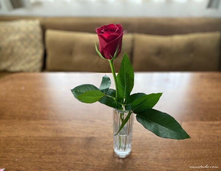 赤い薔薇が好き