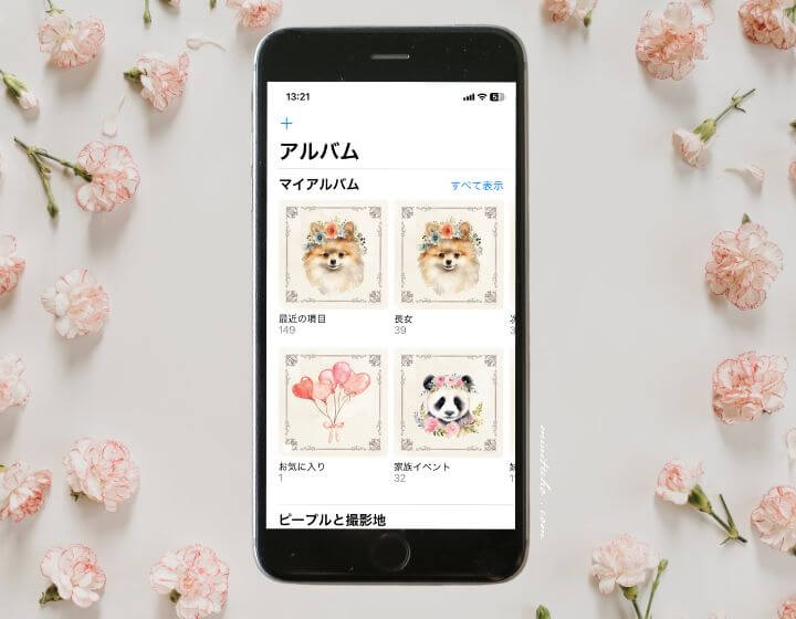 写真_捨て活_アルバム