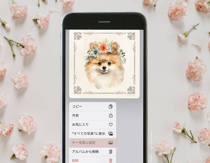 写真_捨て活_設定